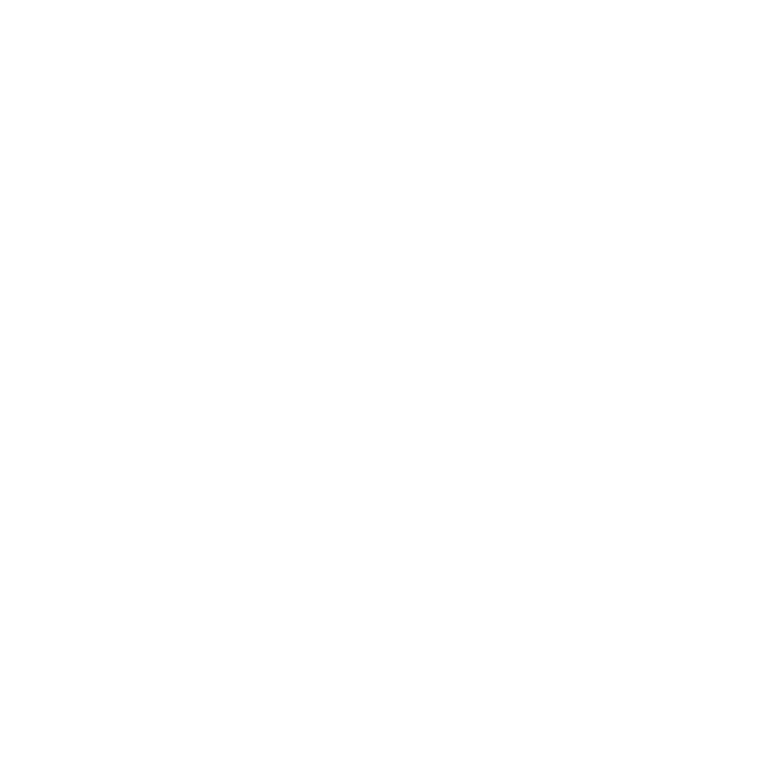 Stoneway Electric