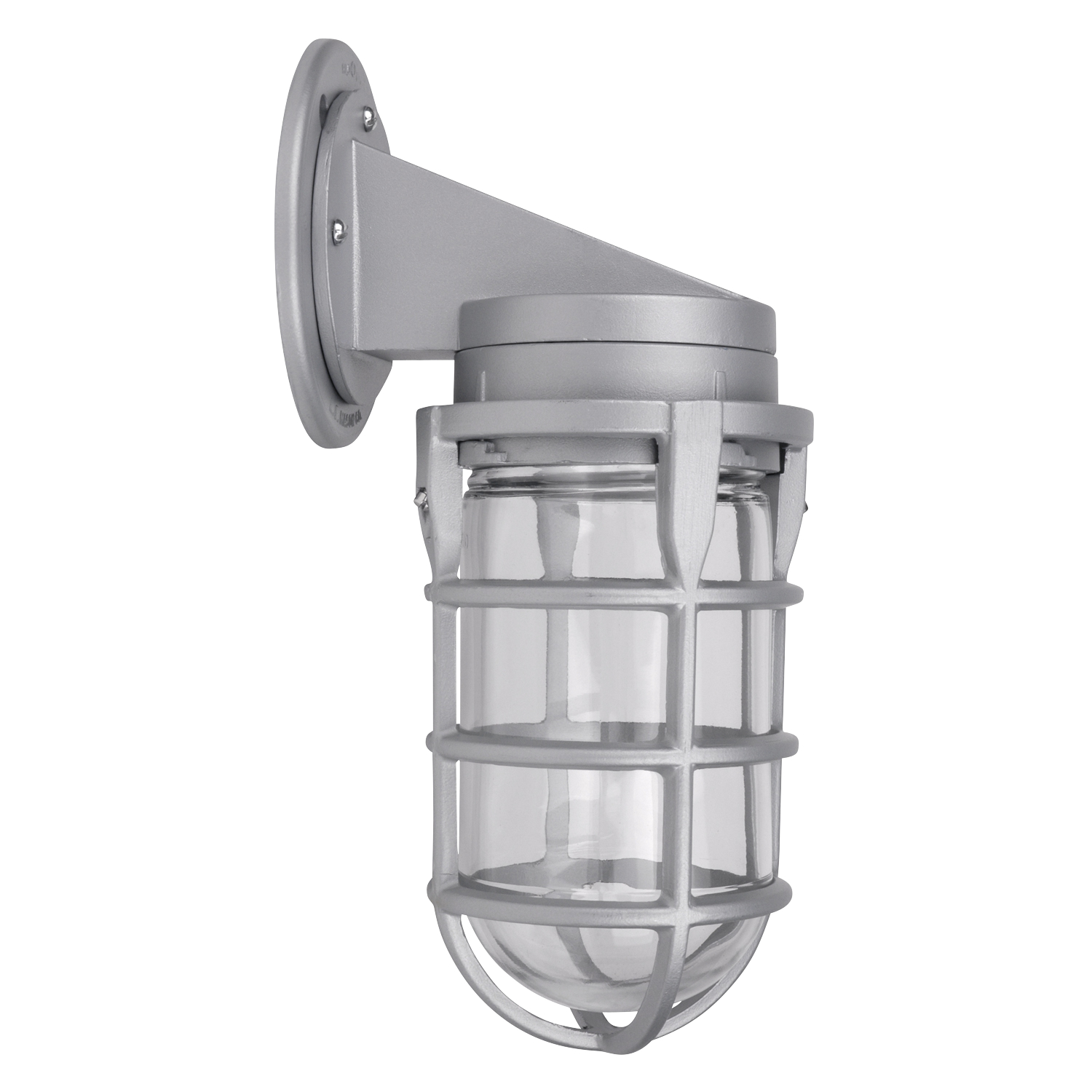 Wall Mount Cap with Adapter Plate and Globe, Aluminum, with Socket with Leads, Gasket, Screws, and Cast Guard, 100 Watt Maximum