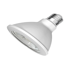 GE LED PAR30 - STIR