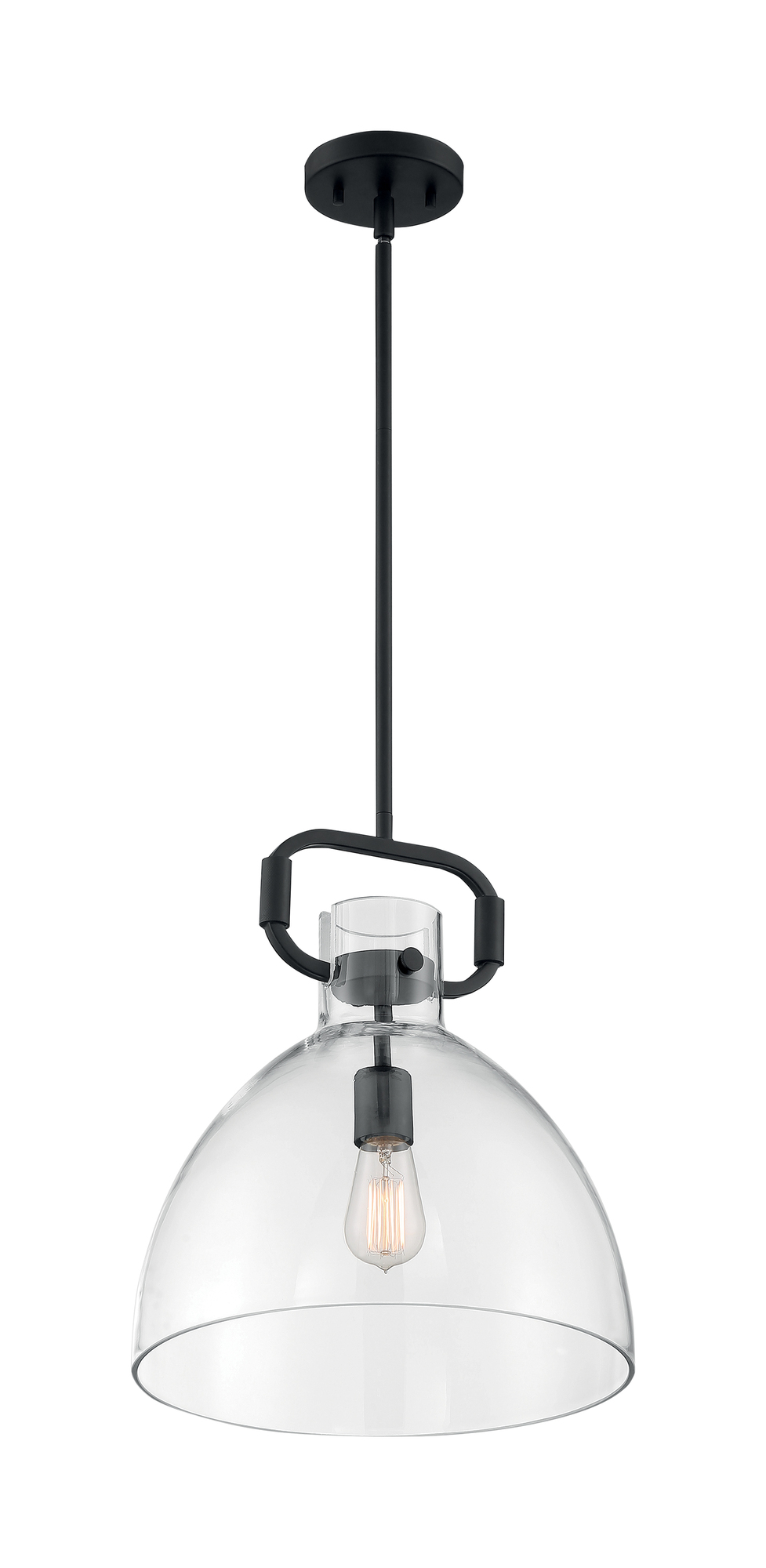 Teresa 1-Light Bell Pendant Fixture - Matte Black Finish with Clear Glass