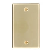1-Gang No Device Blank Wallplate, Standard Size, Box Mount, Brass