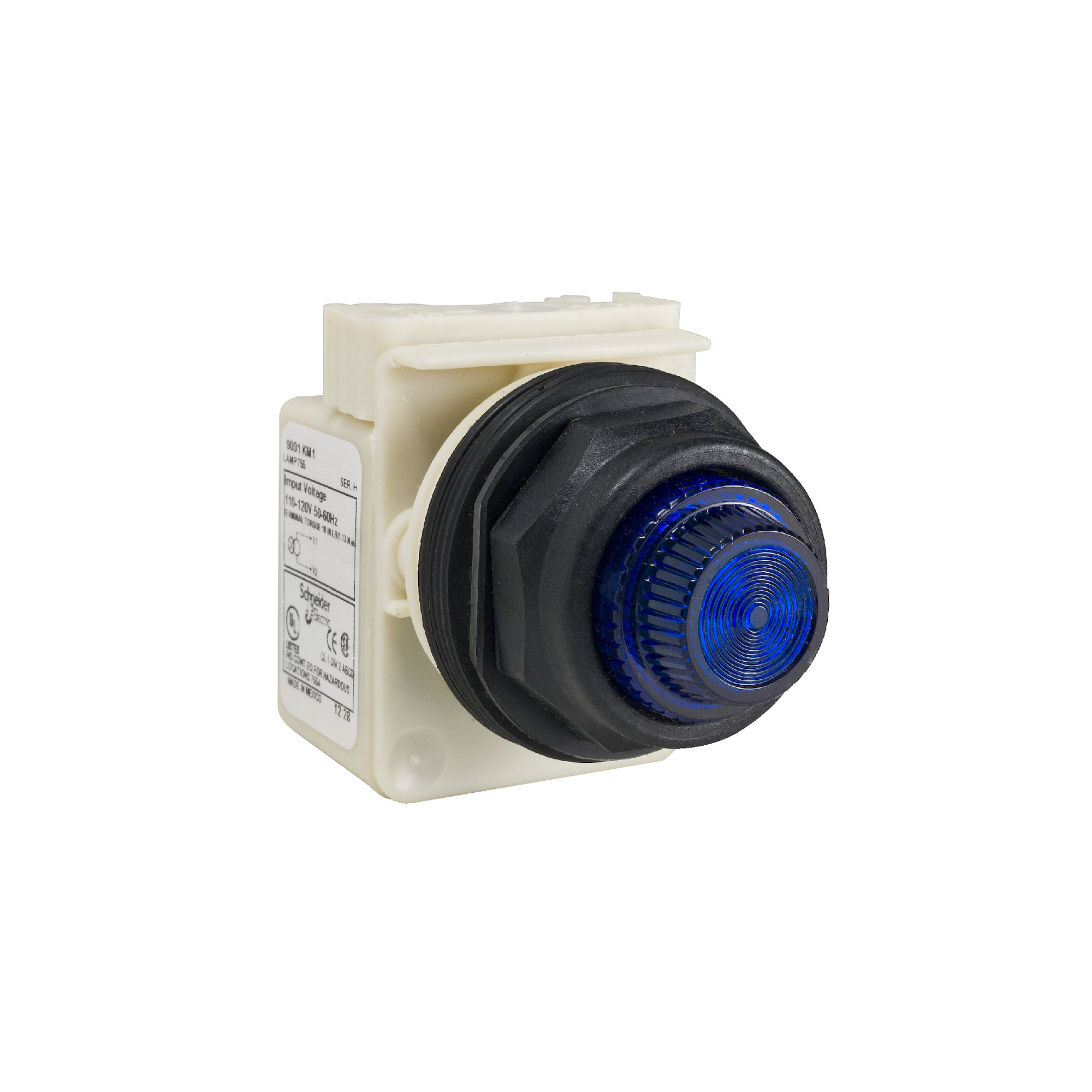 PILOT LIGHT 120V 30MM TYPE SK+OPT