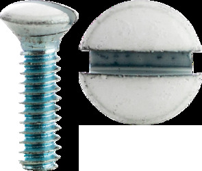 6-32 x 1" Wall Plate Screws, Oval Head, White,Jar