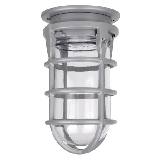 Ceiling Mount with Adapter Plate and Globe, Aluminum, 100 Watt Maximum, Sockets with Leads, Gasket, Screws, and Cast Guard
