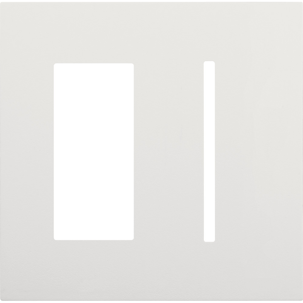 Multigang WallPlate for New Architectural Controls and Accessories, Two-gang for 1 accessory or Palladiom keypad and 1 Grafik T control in white