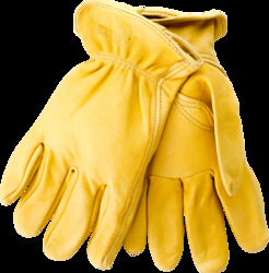 Unlined Deerskin Drivers Glove, Medium