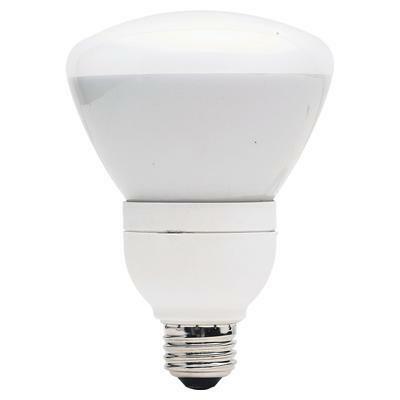 66665 FLUORESCENT ENERGY EFF
