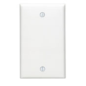 1-Gang No Device Blank Wallplate, Standard Size, Thermoplastic Nylon, Box Mount, Black