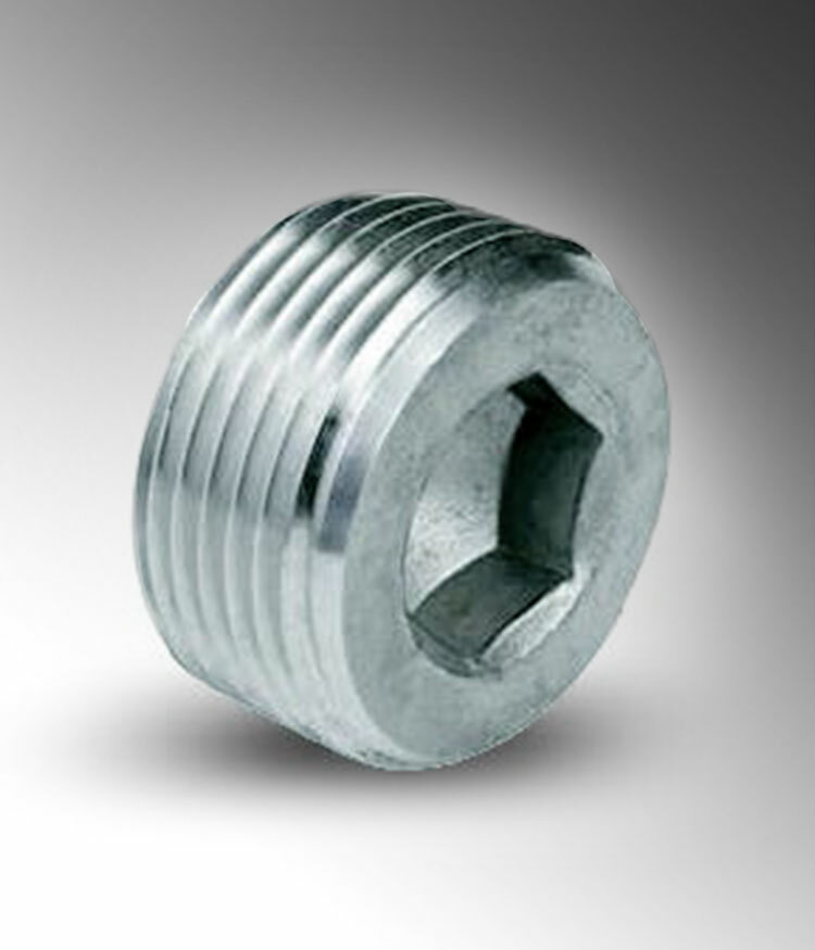 Stainless Steel 316 Cntr Sunk Hex Plug  1/2"