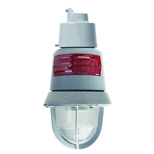 Explosion Proof Fire Alarm Strobe, Clear Colored Lens, 24VDC