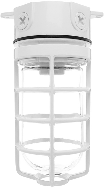 Vaporproof 100 Ceiling 4 Inches Box 1/2 Inch White With Globeglobe Cast Guard