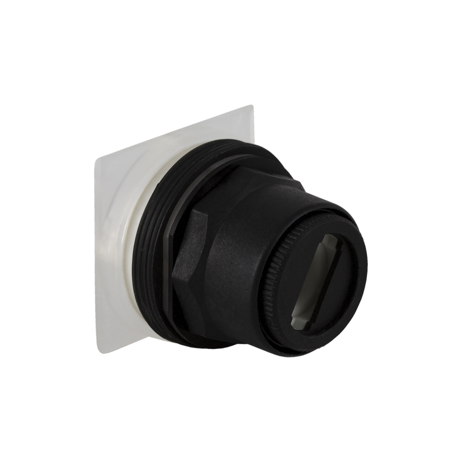 30mm push button, Type SK, 2 position selector switch, maintained, no contacts, no knob, NEMA 4, 4X