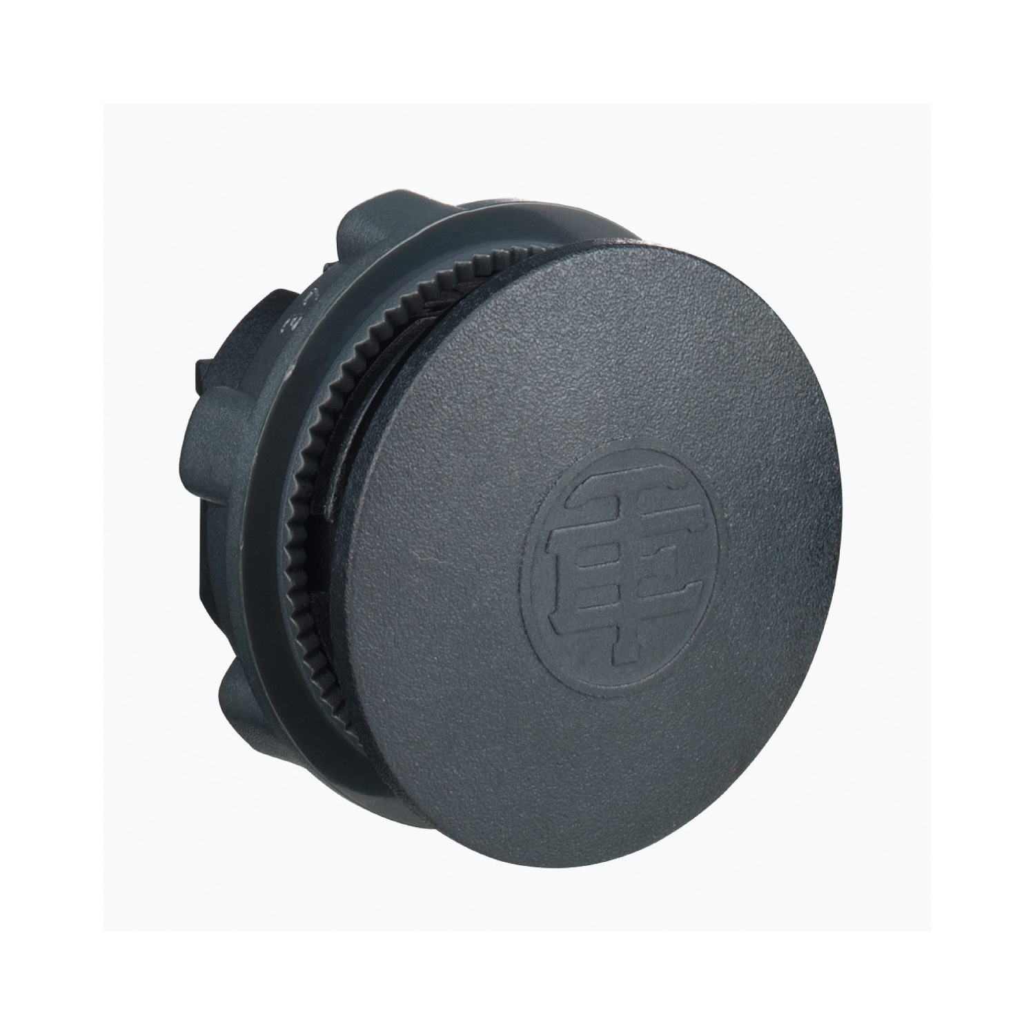 Blanking plug, Harmony XB5, plastic, black, for 22mm hole
