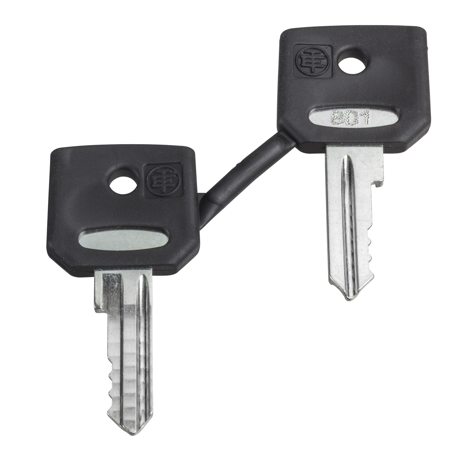 Key, Harmony XB4, emergency stop push button, key 458A, set of 2 keys