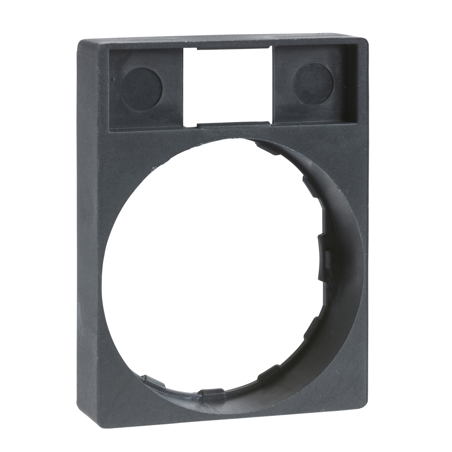 Legend holder, Harmony XB4, 30 x 40mm, plastic, without legend