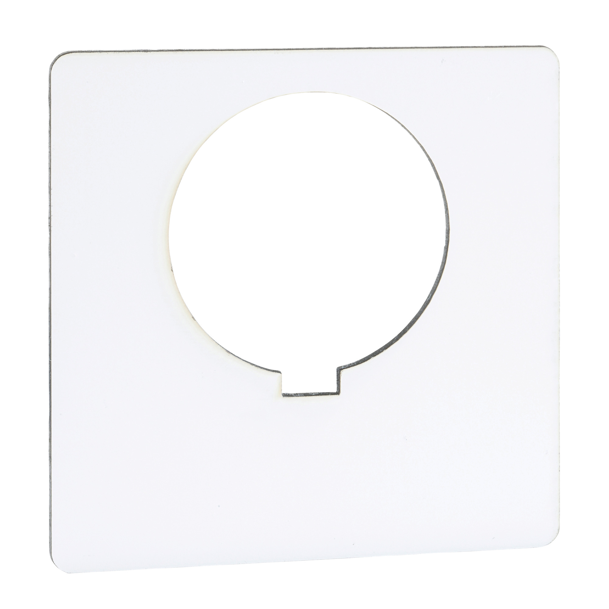 Push Button Legend Plate, 30 mm, "Blank", Black on White/Plastic"
