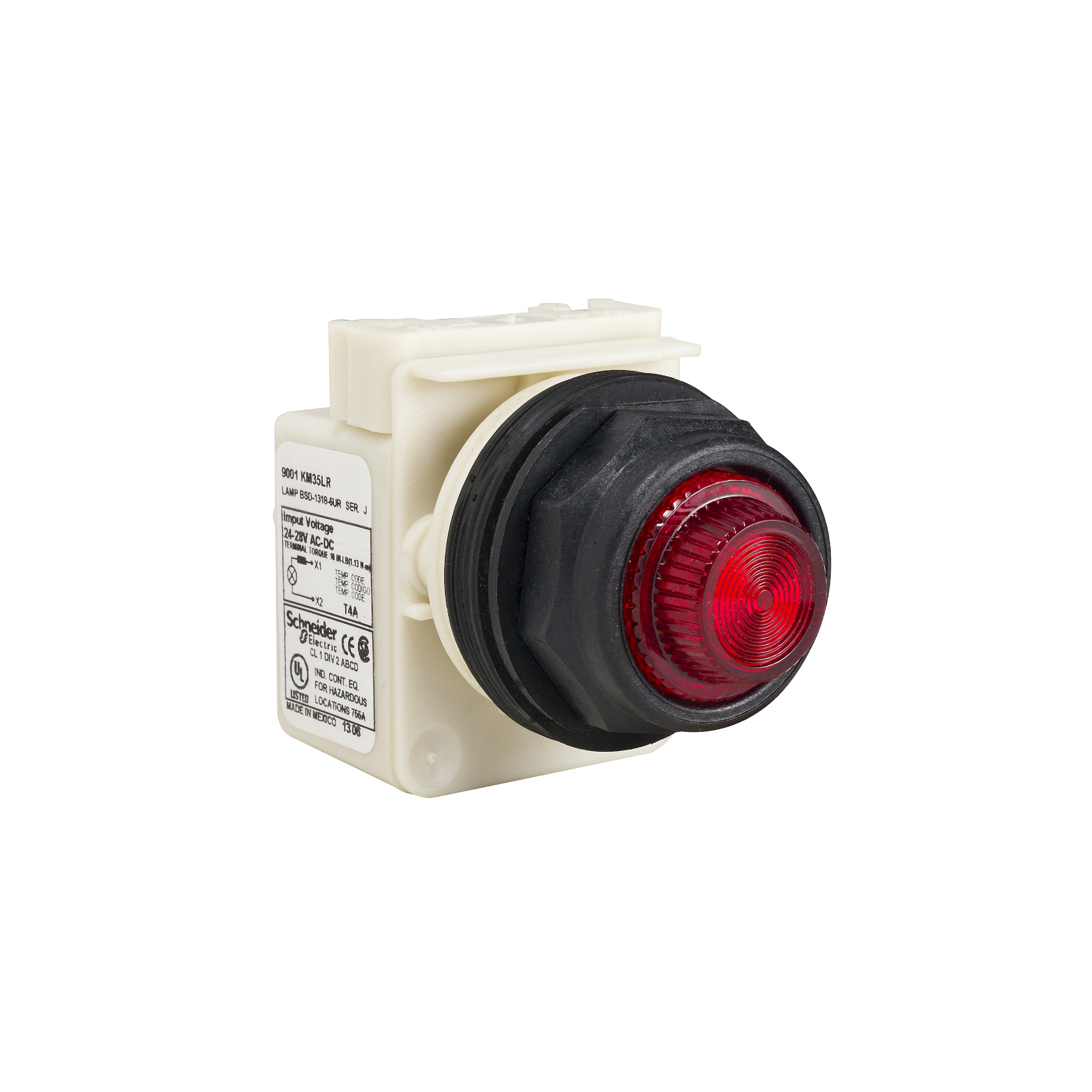PILOT LIGHT 240VAC 30MM SK +OPTIONS