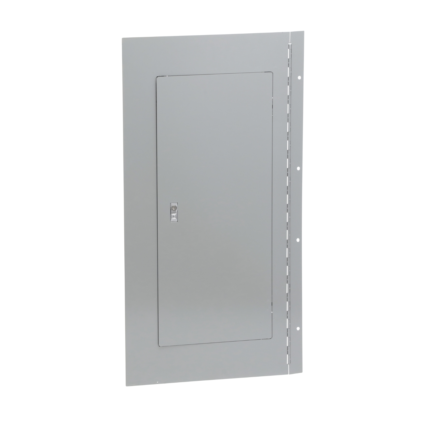 Panelboard enclosure cover, NQ/NF, Type 1, surface, hinged, for 20in W x 38in H box