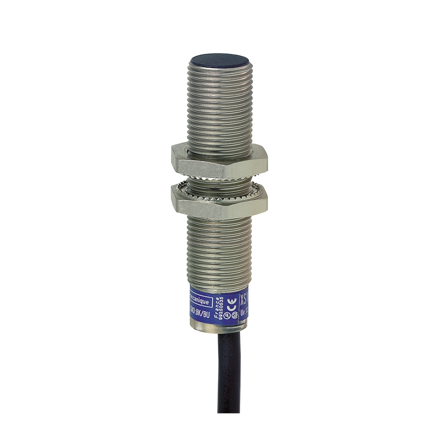Inductive proximity sensors XS, inductive sensor XS6 M12, L54mm, brass, Sn4mm, 12...48 VDC, cable 2 m