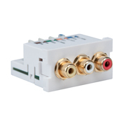 Multimedia Outlet System, Composite Video & Stereo Audio, Enhanced Video Connector, Female RCA to 110-Style, White