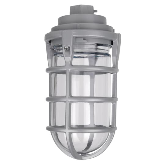Pendant Mount Cap and Globe, Hub Size 1/2 Inch, Aluminum, with Socket Screw Terminals, Gasket, Screws, and Cast Guard, 100 Watt Maximum
