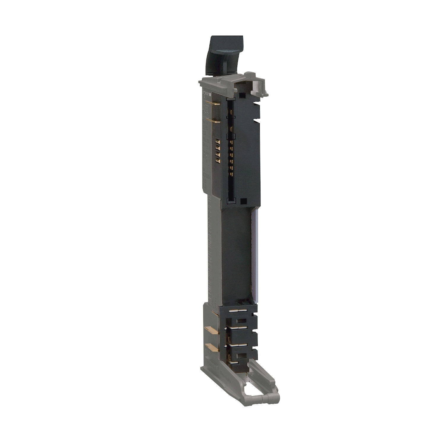 bus base, Modicon TM5, 24V DC, grey, 1 quantity