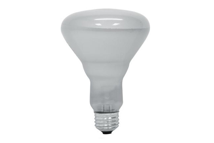 GE Proline 65-Watt BR30