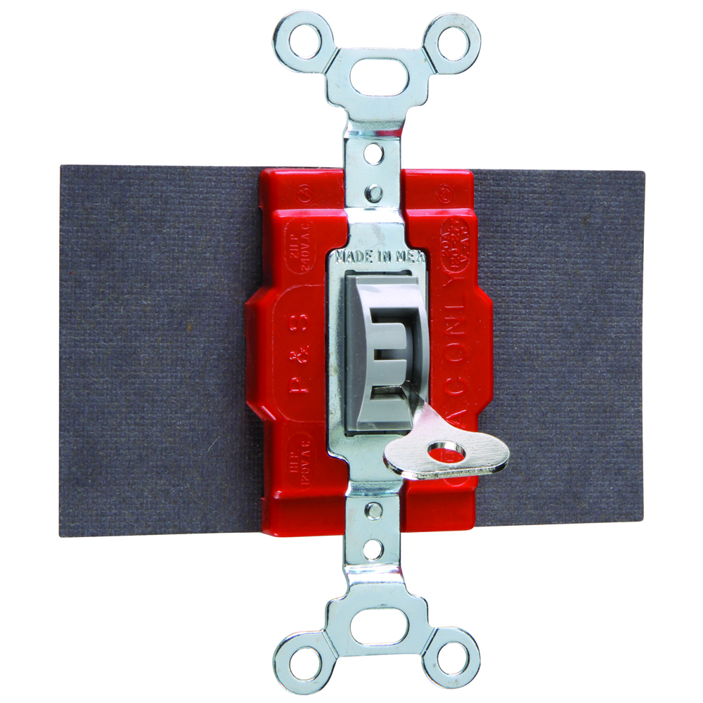 Double Pole, Double Throw Switch, 20 amps, 120/277 volts, Locking.