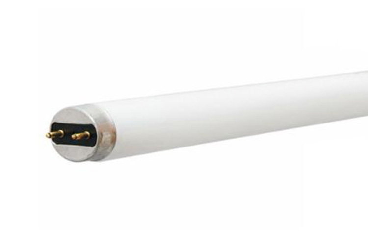 GE Ecolux, 17 WTT, 1325 LM, 4100 KV, 78 CRI, 1 IN Diameter, 23.78 IN Length, Medium Bi-Pin (G13) Base, 30000 HR Average Life