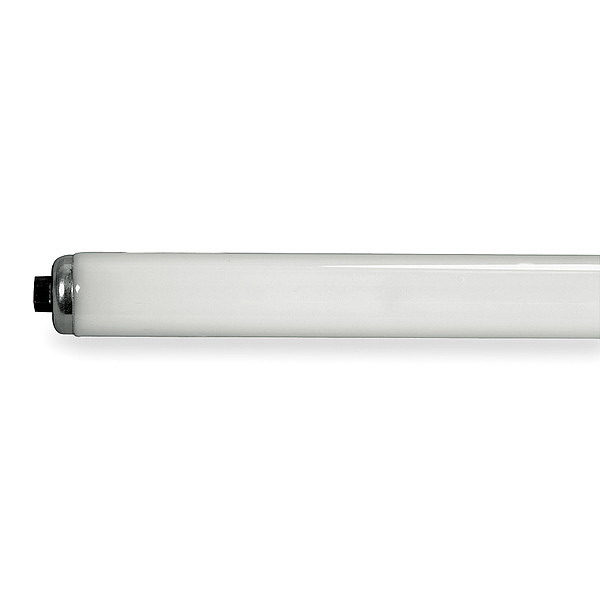 GE Cool White T12