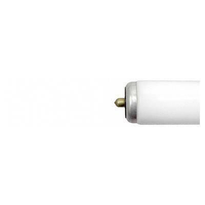 GE Daylight T12