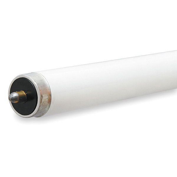 GE Cool White T6