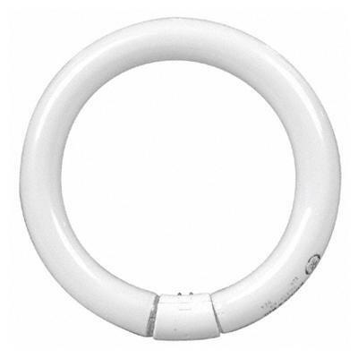 GE active spaces circline 40 watt T9 circline 1-pack