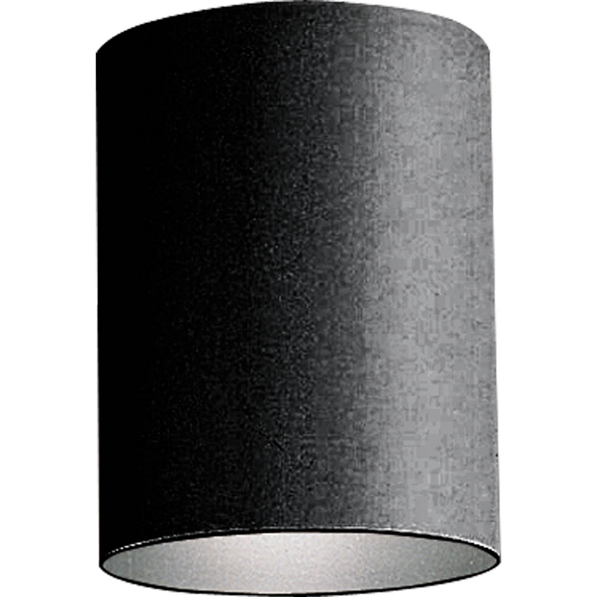 1-75W PAR-30/BR-30 CTC Black