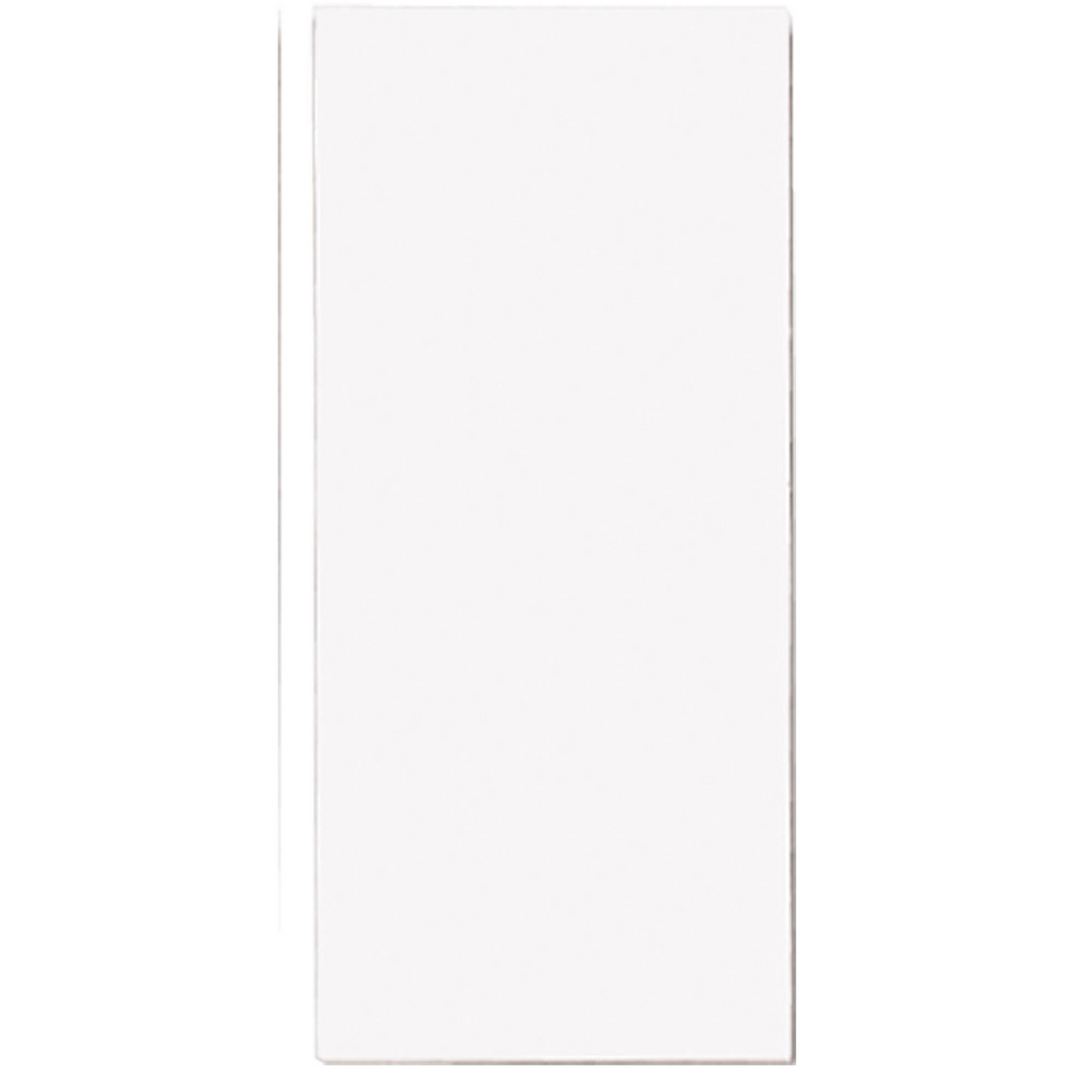 10PCS NO PLT-FULL BLNK White