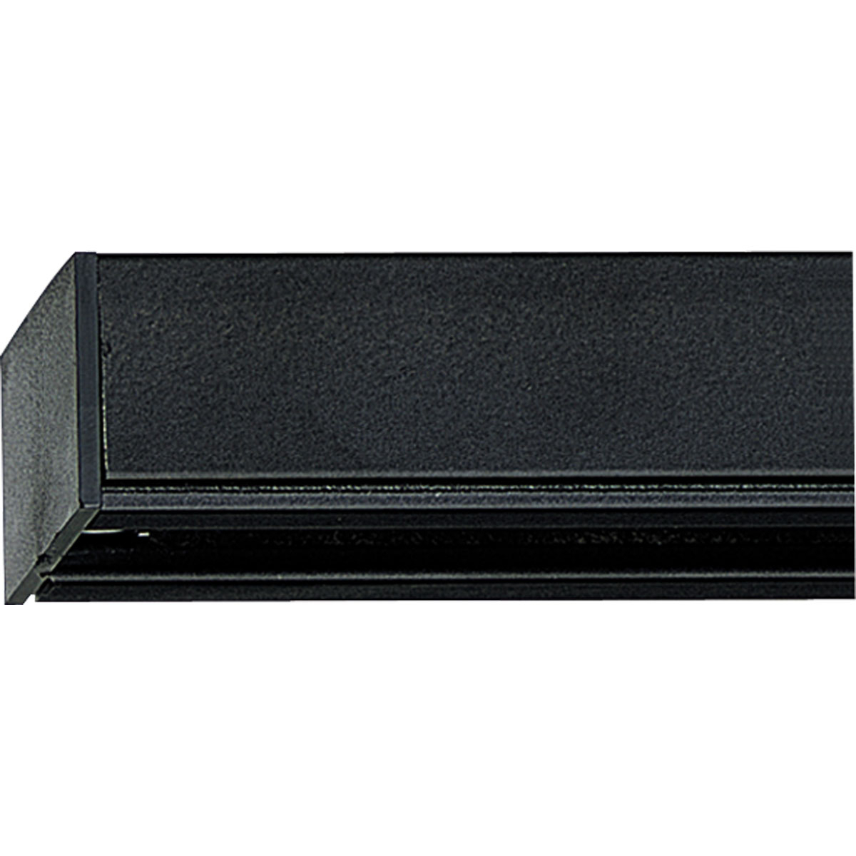 4 FT ALPHA TRACK SECTION Black