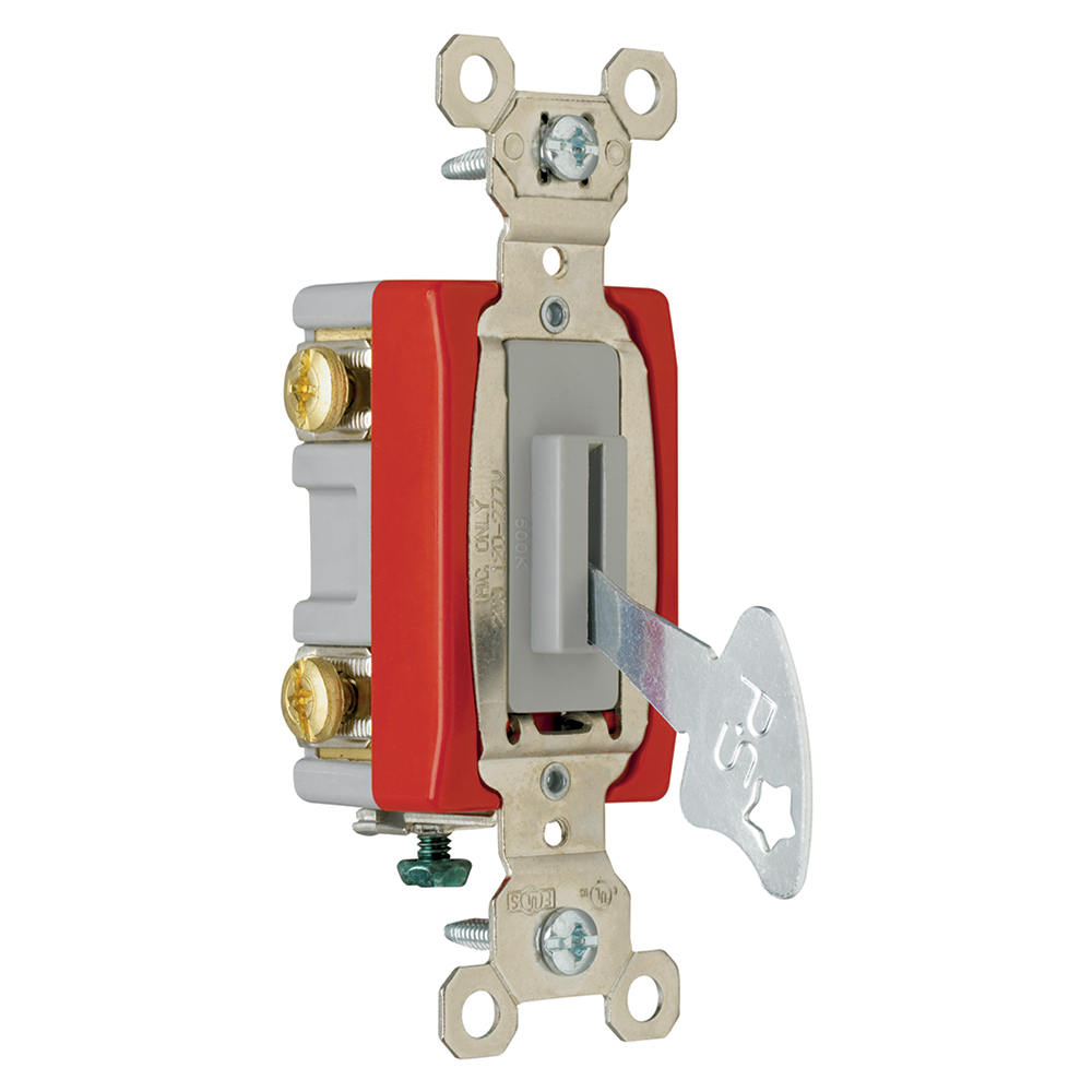 2pole Lock Switch, Back and, Side Wire, 20amp 120/277volt, Gray (Key can be removed in both positions)
