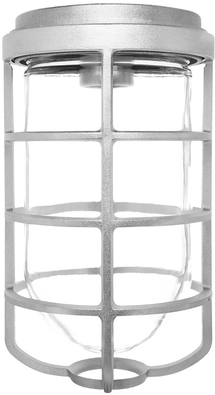 Vaporproof 200 Ceiling With Glass Globe Cast Guard