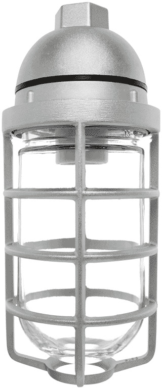 Vaporproof 100 Pendant 1/2 Inch With Glass Globe Cast Guard
