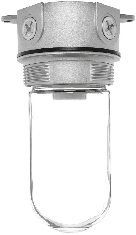 Vaporproof 100 Ceiling 4 Inch Box 1/2 Inch With Glass Globe