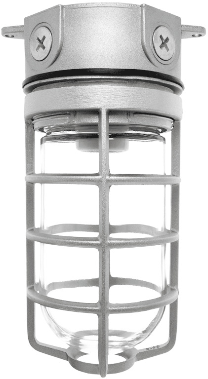 Vaporproof 100 Ceiling 4 Inch Box 1/2 Inch With Gl Globe Cast Guard