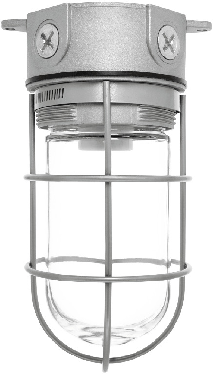 Vaporproof 100 Ceiling 4 Inches Box 1/2 Inch With Glass Globe Wire Guard