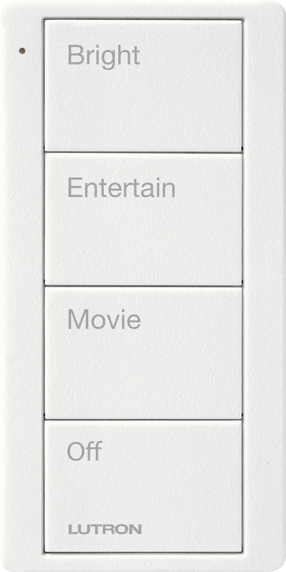 Pico Wireless Control, 4-button, 434 MHz, scene control of lights, family room text engraving, in snow