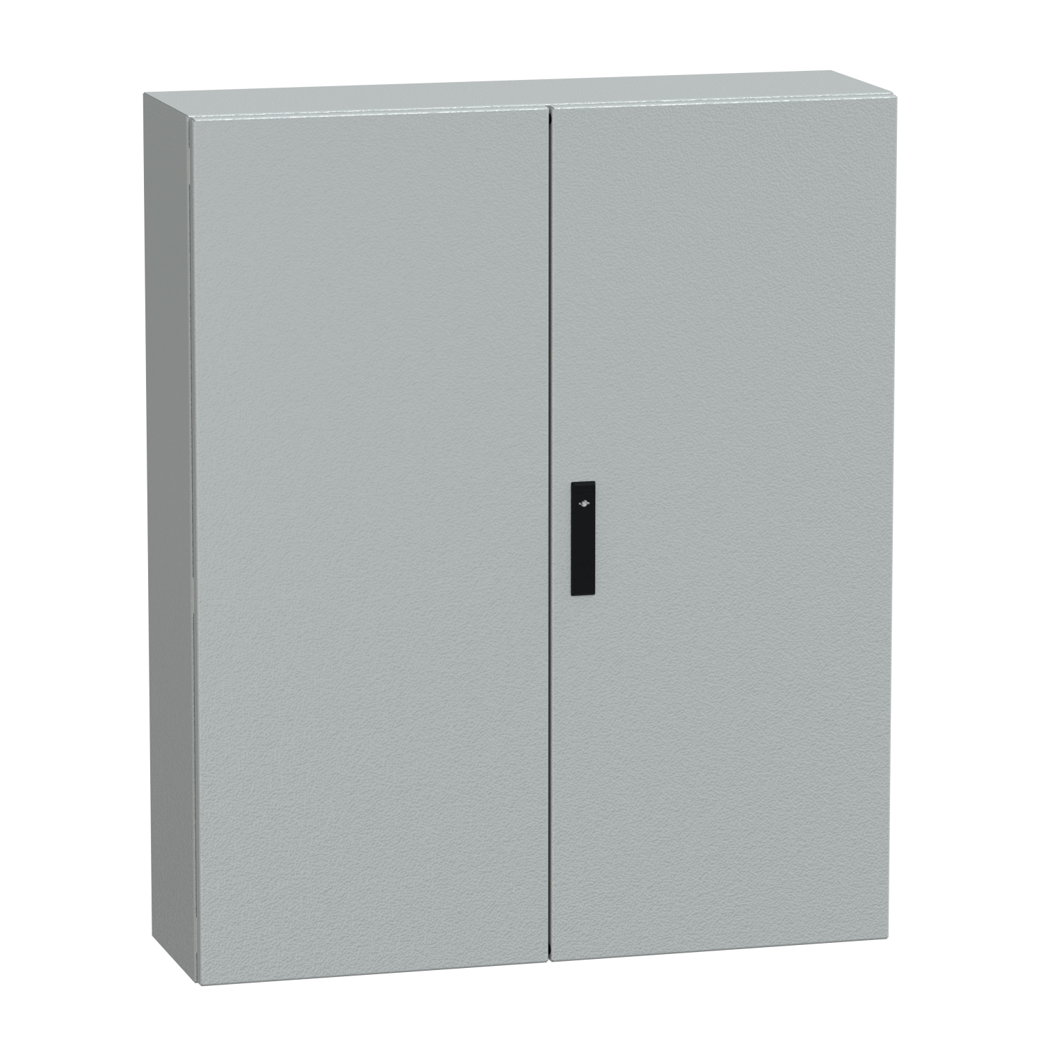 Spacial CRNG dbl plain door w/o mount.plate. H1200xW1000xD300 IP55 IK10 RAL7035