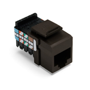 Voice Grade QuickPort Connector, 8P8C, Brown