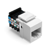 Voice Grade QuickPort Connector, 8-Wire, White