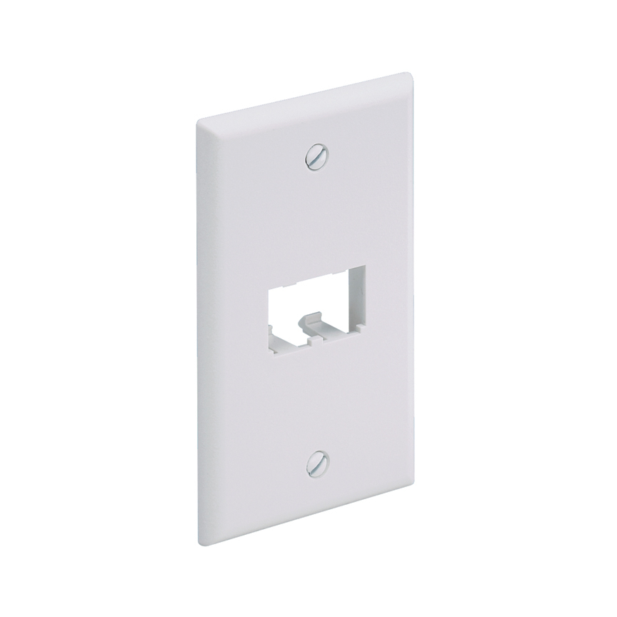Faceplate, 2 Port, Classic, White       