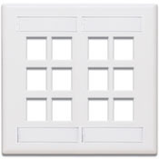QuickPort Wallplate with ID window, dual gang, 12-port, white