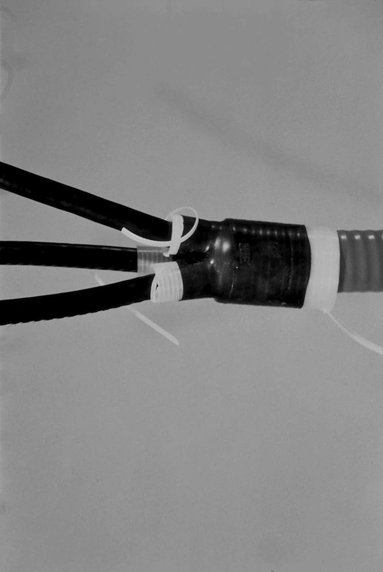 3M_7000031457.jpg