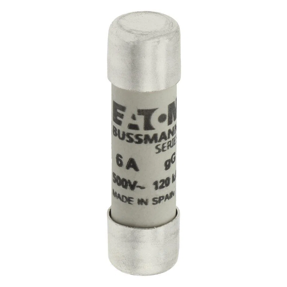 Bussmann_C10G6_2.jpg
